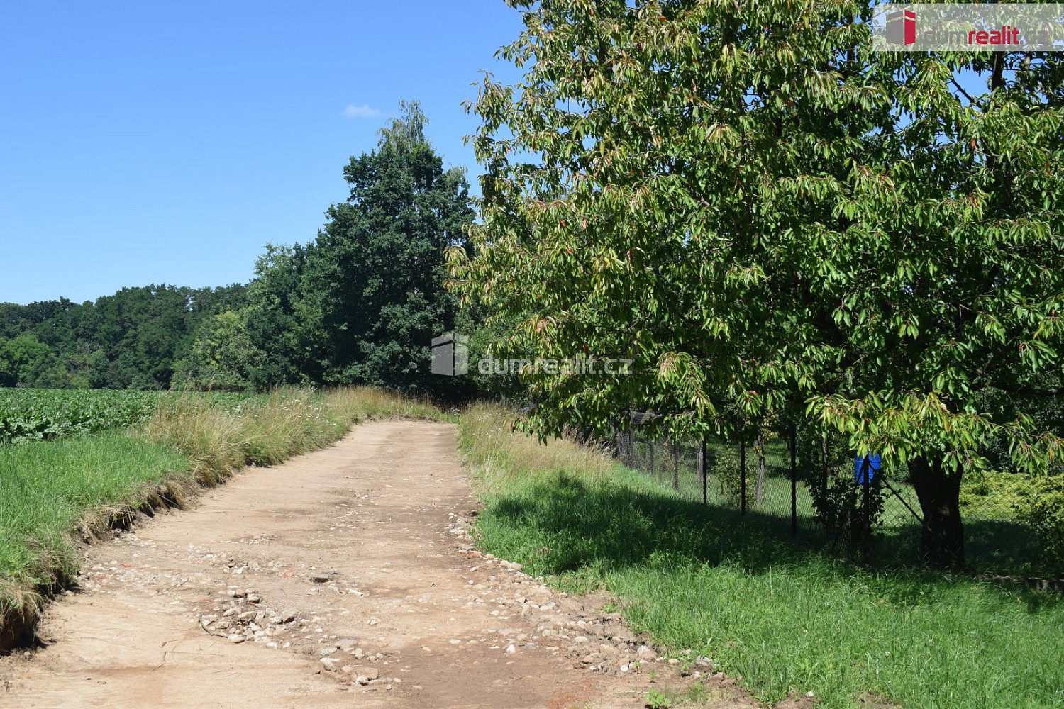 Prodej stavebního pozemku 909 m² - Więcej