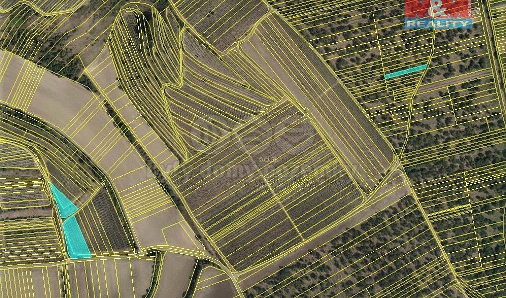 Prodej pole 5 779 m², Němčičky – náhled fotky 3
