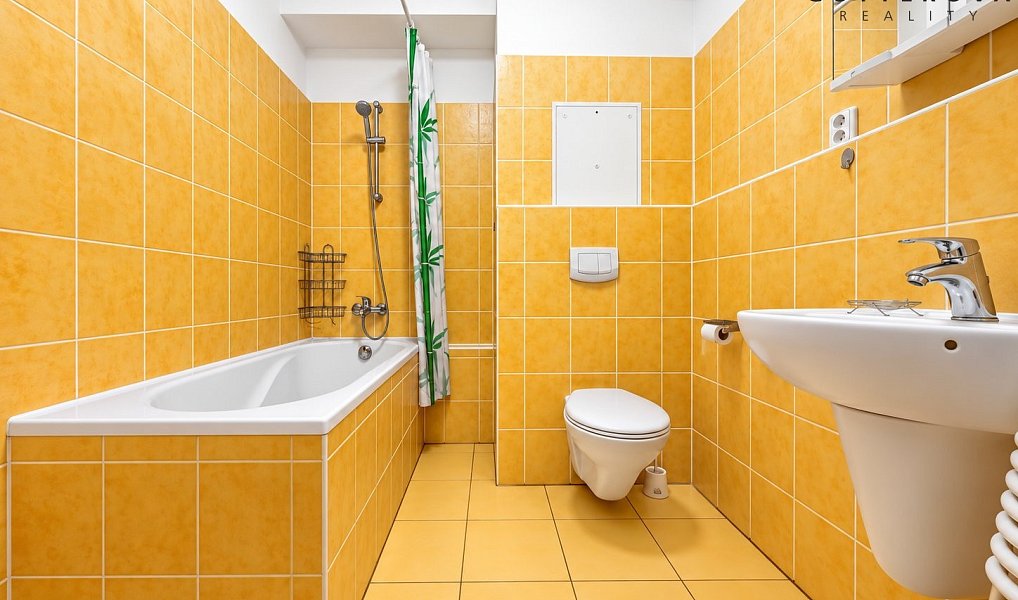 Pronájem bytu 1+kk 32 m², Plzeň – náhled fotky 4