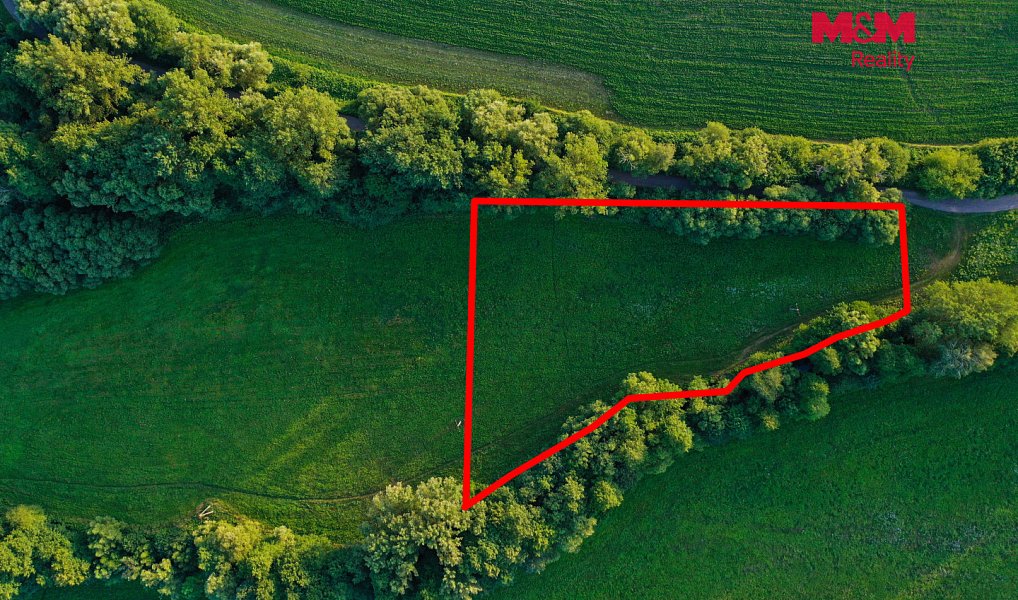 Prodej louky 4 590 m², Horní Bříza – náhled fotky 20