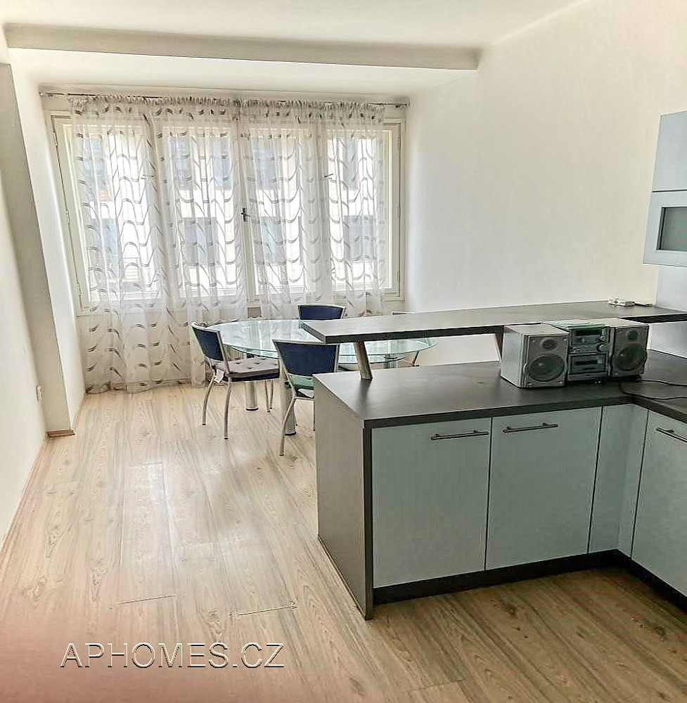 Pronájem bytu 1+1 46 m² – fotografie 3