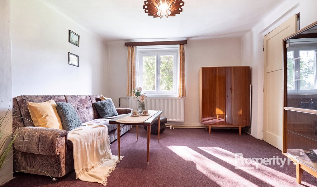 Prodej domu 120 m² s pozemkem 2 453 m², Pavlíkov – náhled fotky 8