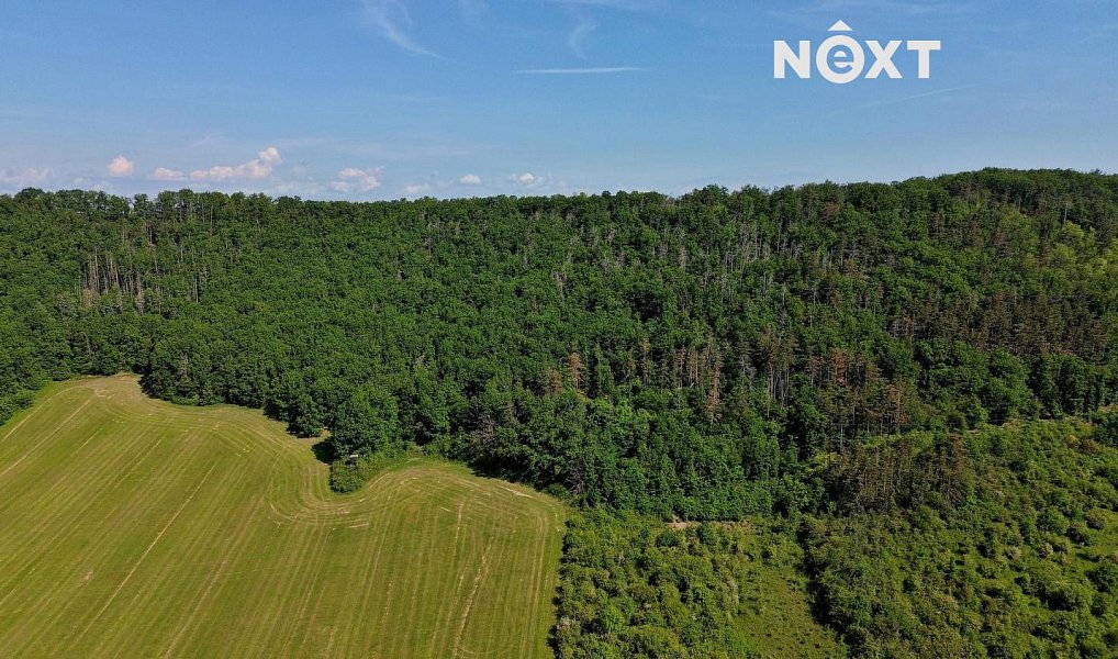 Prodej lesa 3 149 m², Chrustenice – náhled fotky 12