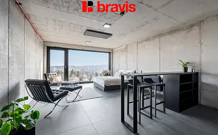 Pronájem bytu 1+kk 28 m², Královopolská, Brno - Žabovřesky