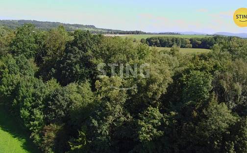 Prodej lesa 9 789 m², Hnojník, okres Frýdek-Místek