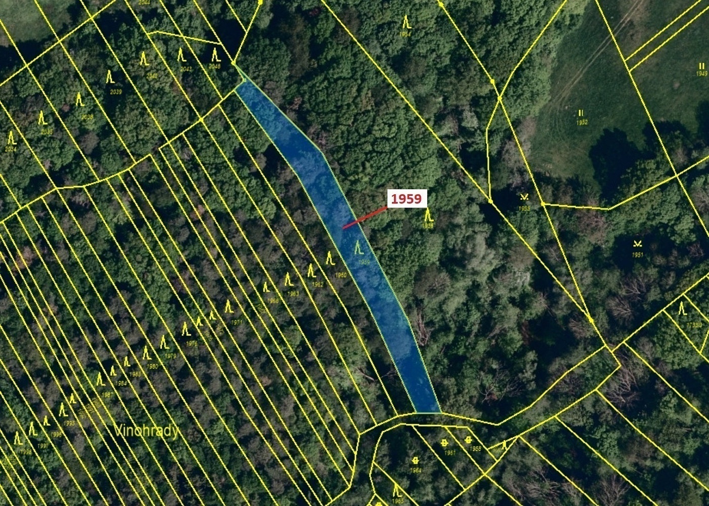 Dražba lesa 1 160 m² – pohled 2