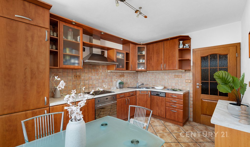 Prodej domu 346 m² s pozemkem 1 494 m², Brno – náhled fotky 2