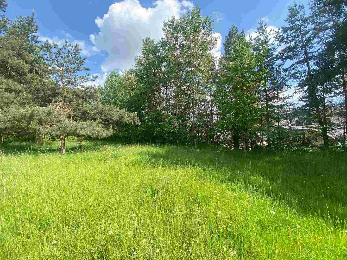 Prodej pozemku 2 300 m²