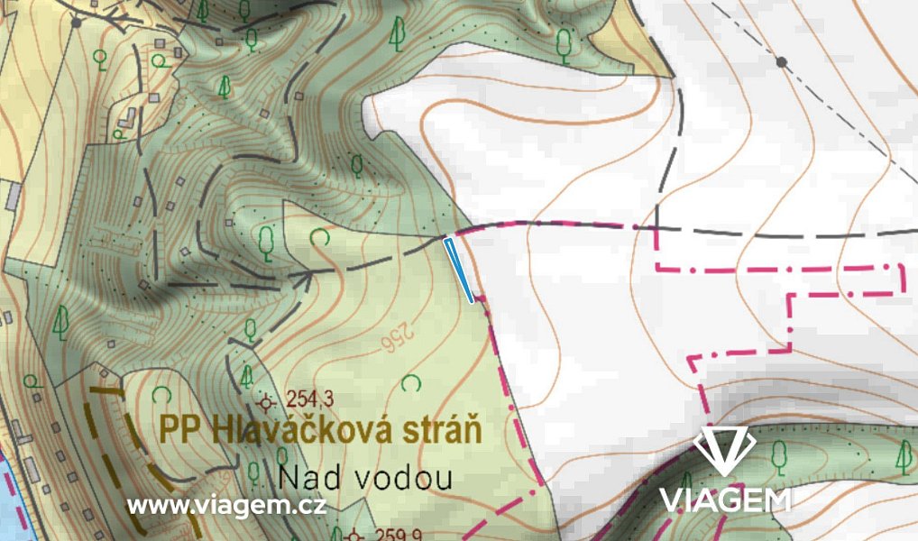 Prodej pole 162 m², Máslovice – náhled fotky 3