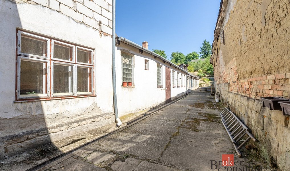 Prodej domu 250 m² s pozemkem 2 232 m², Kožušice – náhled fotky 10