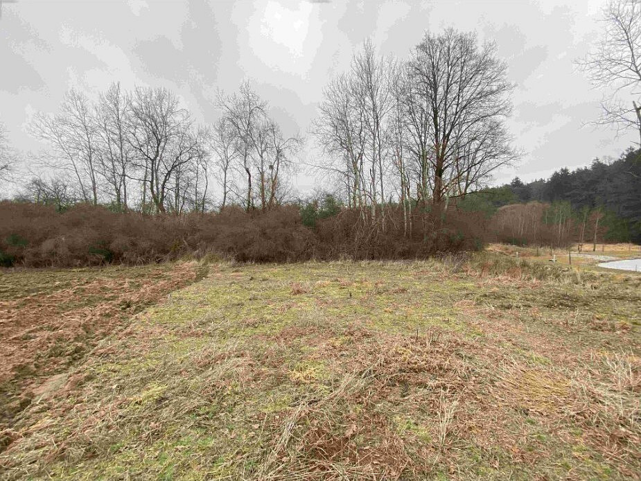 Dražba pozemku 2 121 m²