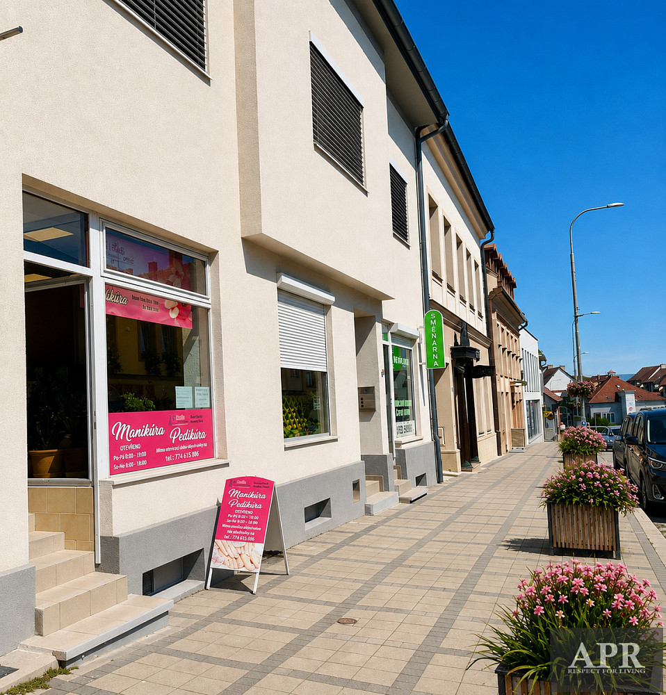 Pronájem obchodních prostor 54 m²
