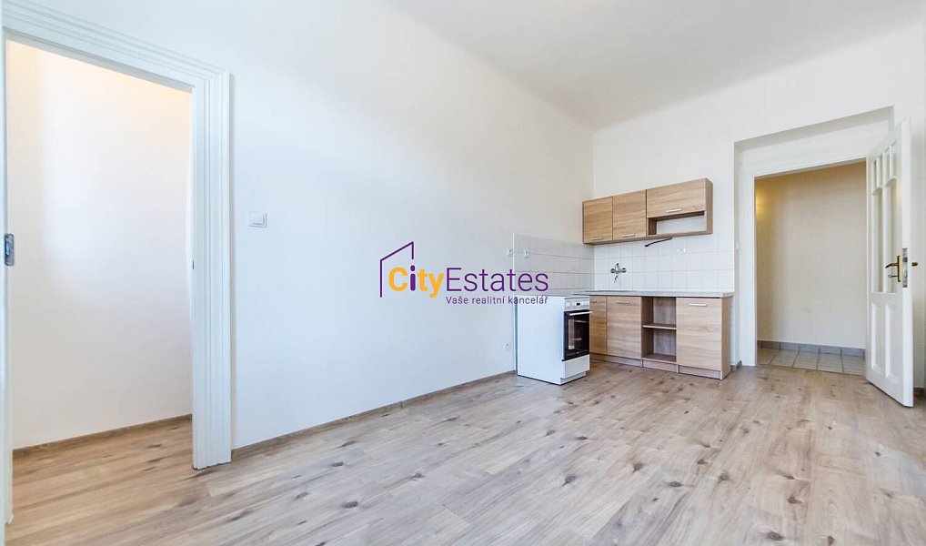 Pronájem bytu 1+1 40 m², Praha – náhled fotky 2