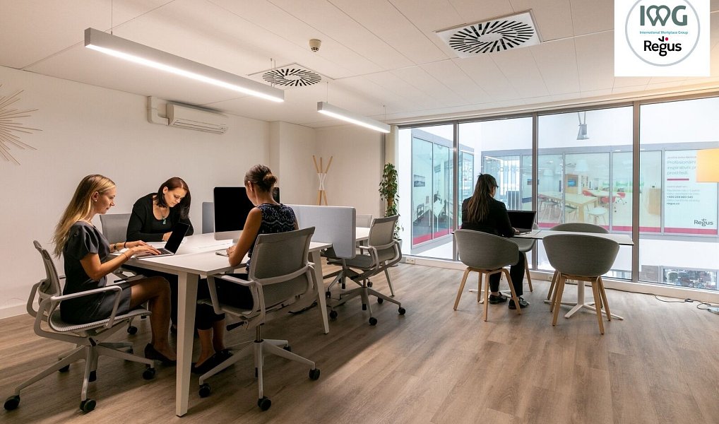 Pronájem kanceláře 25 m², Praha – náhled fotky 6