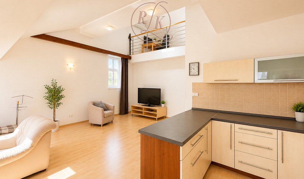Prodej bytu 5+kk 178 m², Brno – náhled fotky 5