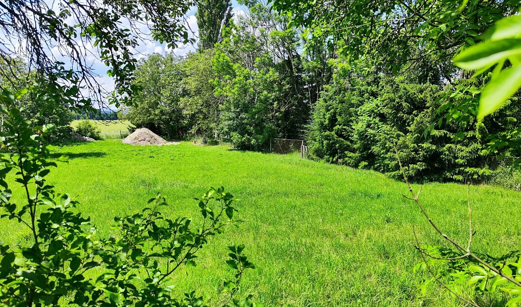 Prodej stavebního pozemku 1 655 m², Bílá Lhota – náhled fotky 3