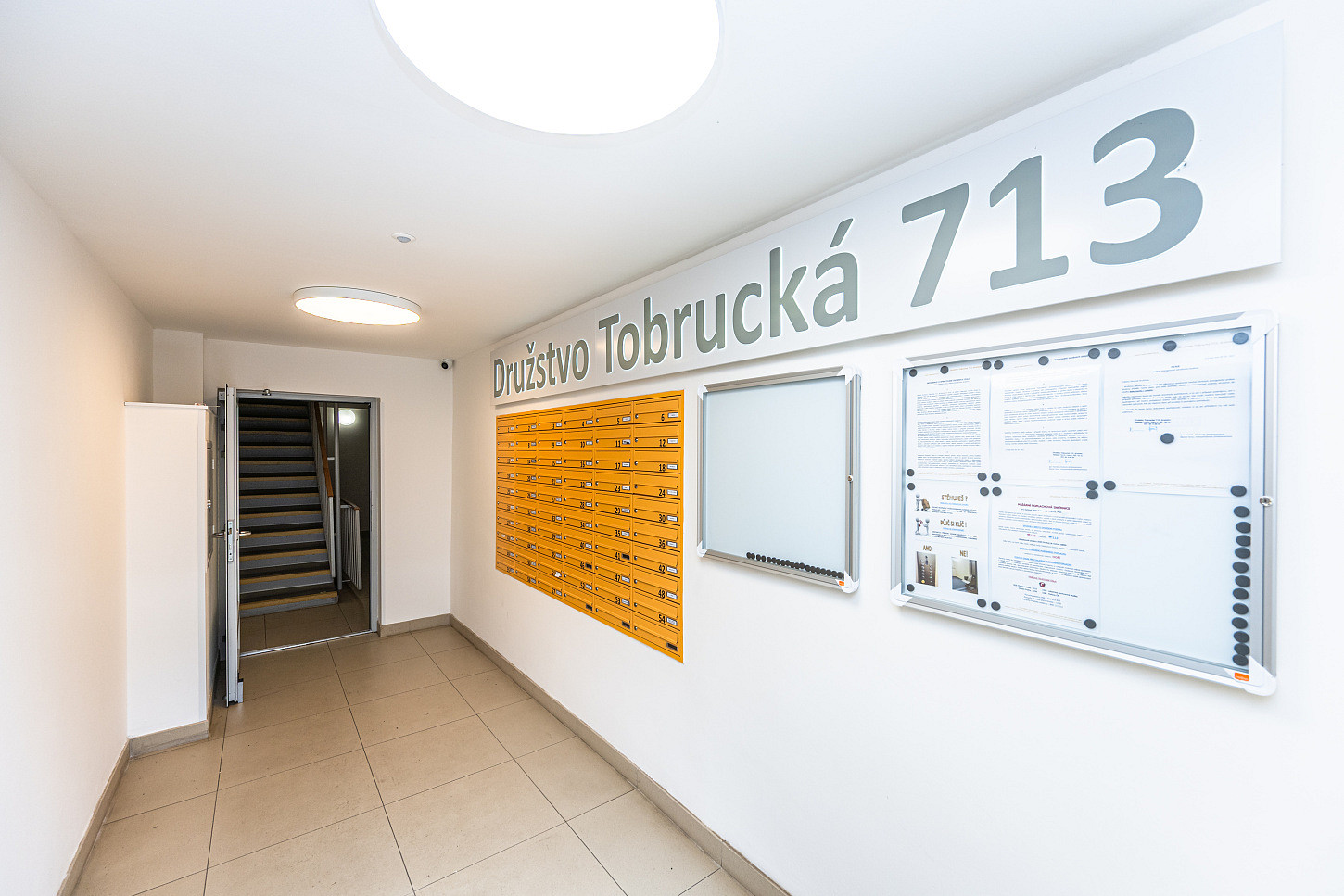 Fotka 16 z 25