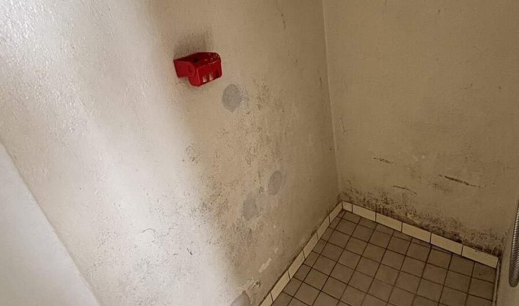 Prodej domu 64 m² s pozemkem 122 m², Třebelovice – náhled fotky 6