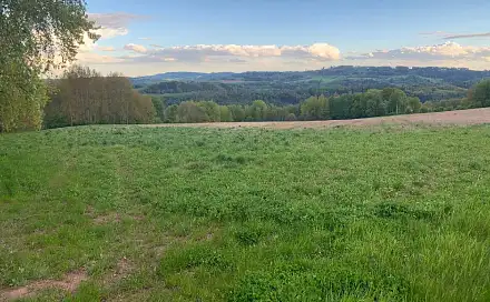 Prodej pole 8 971 m², Semily - Bítouchov