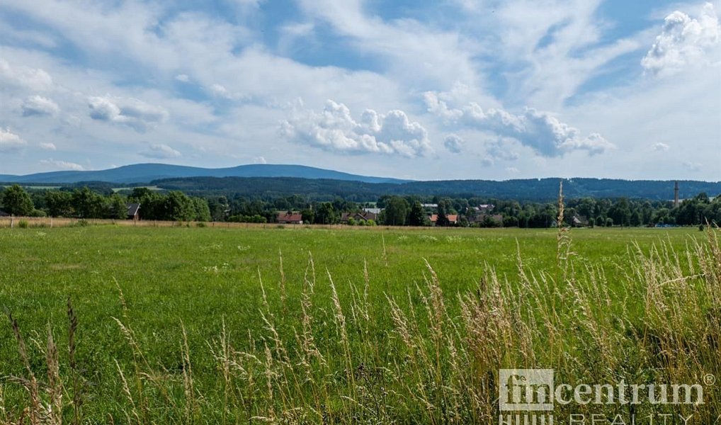 Prodej louky 53 774 m², Jindřichovice pod Smrkem – náhled fotky 8