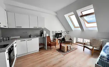 Pronájem bytu 1+kk 37 m²