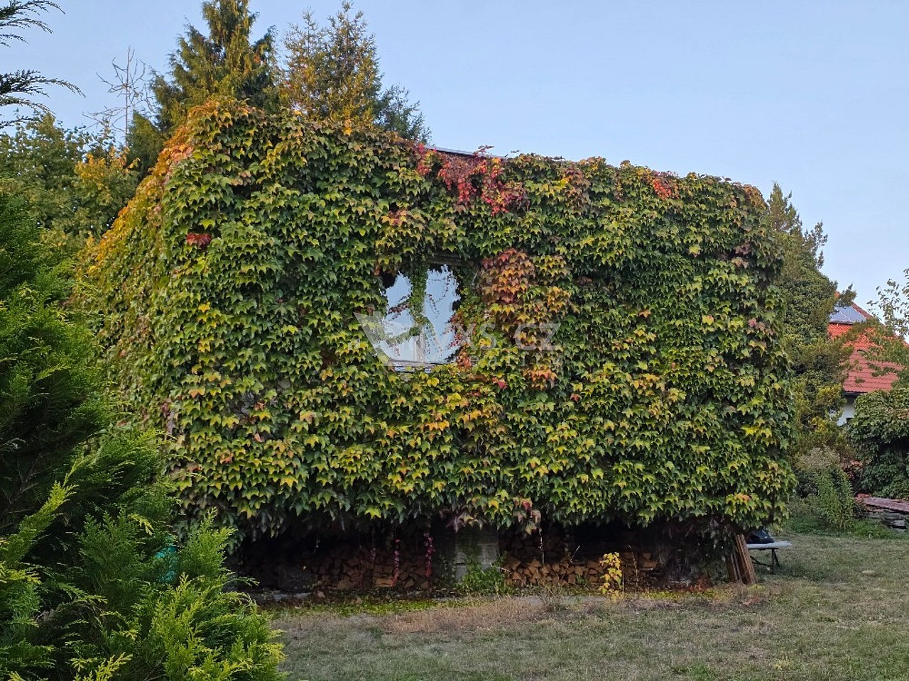 Fotka 6 z 30