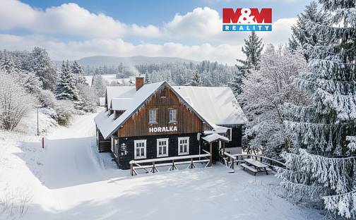 Prodej ubytovacího objektu 374 m², Rokytnice nad Jizerou - Horní Rokytnice, okres Semily