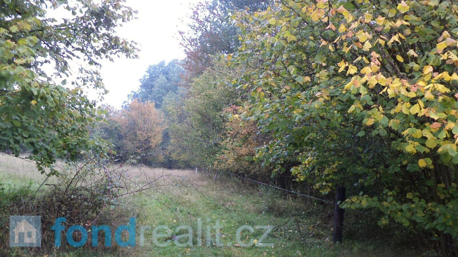 Prodej pole 35 381 m² – fotografie 3