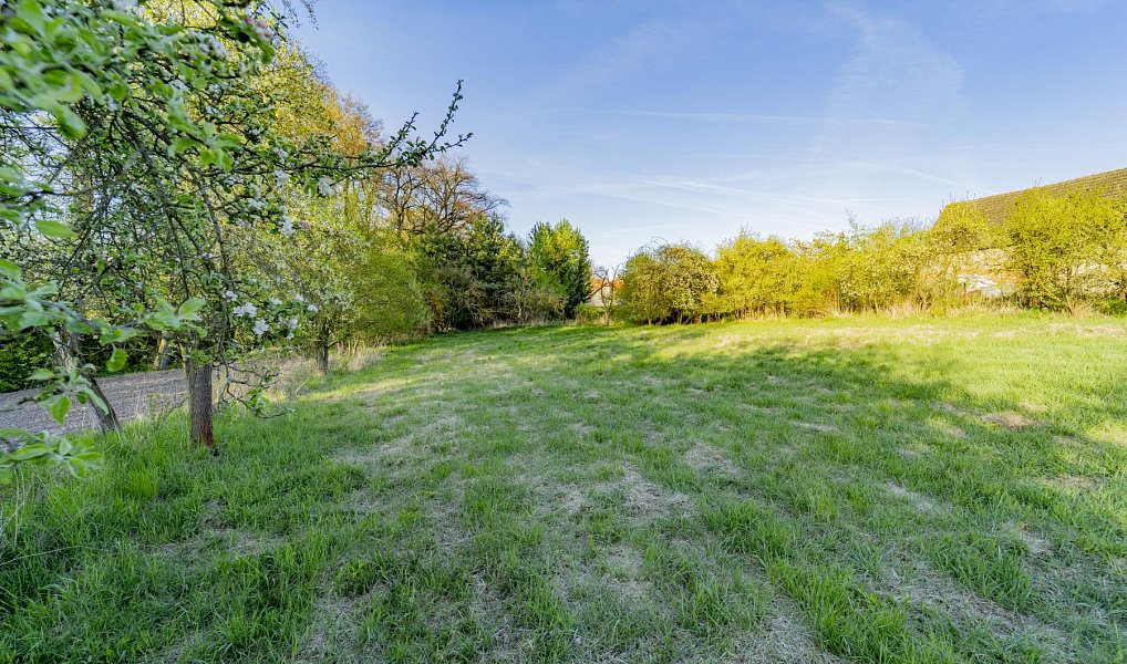 Prodej stavebního pozemku 3 831 m², Svojetín – náhled fotky 8