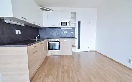 Pronájem bytu 1+kk 40 m², Řípská, Brno - Slatina