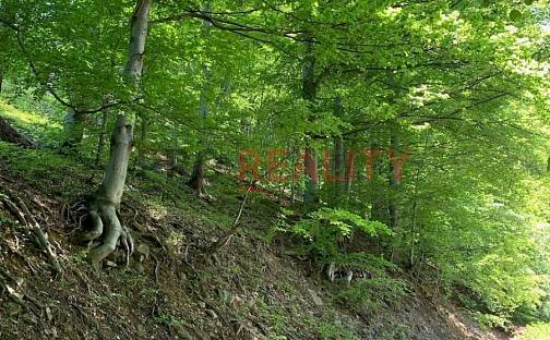 Prodej lesa 39 900 m², Třinec - Tyra, okres Frýdek-Místek
