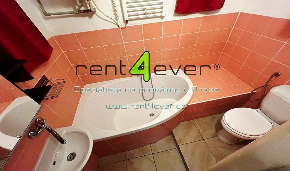 Pronájem bytu 2+1 50 m², Praha – náhled fotky 2