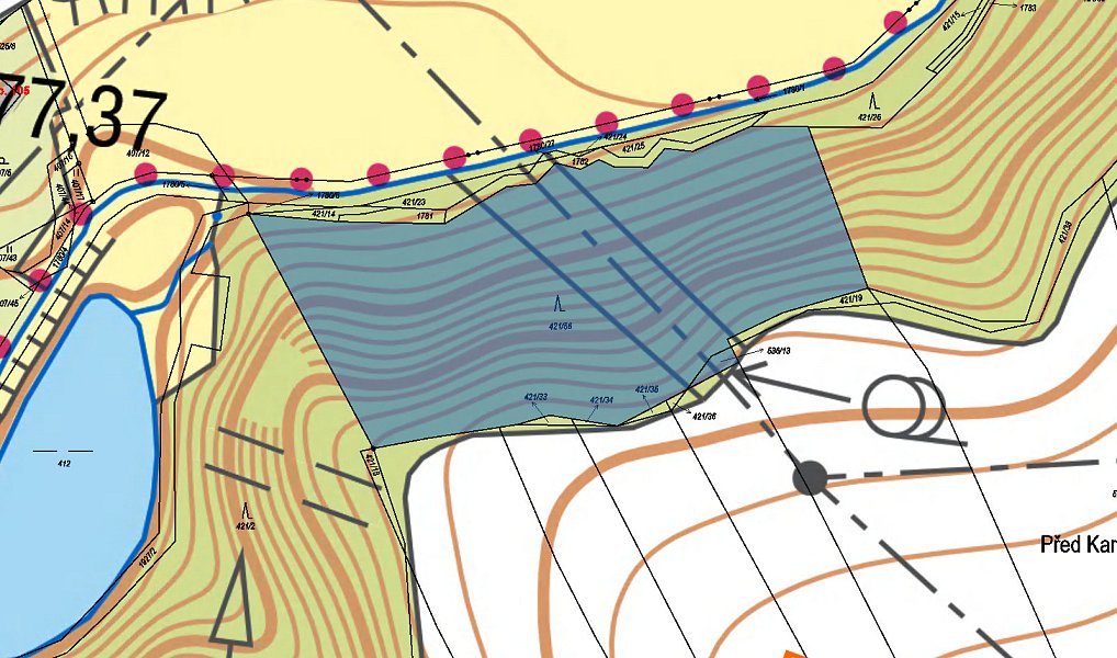 Prodej lesa 7 841 m², Přibyslav – náhled fotky 3