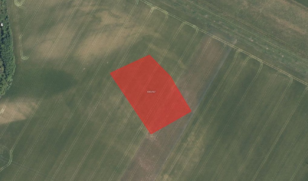Prodej pole 5 630 m², Nový Vestec – náhled fotky 2