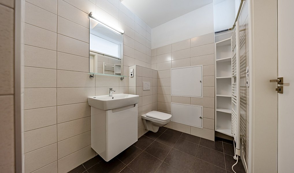 Pronájem bytu 3+kk 60 m², Uherské Hradiště – náhled fotky 10