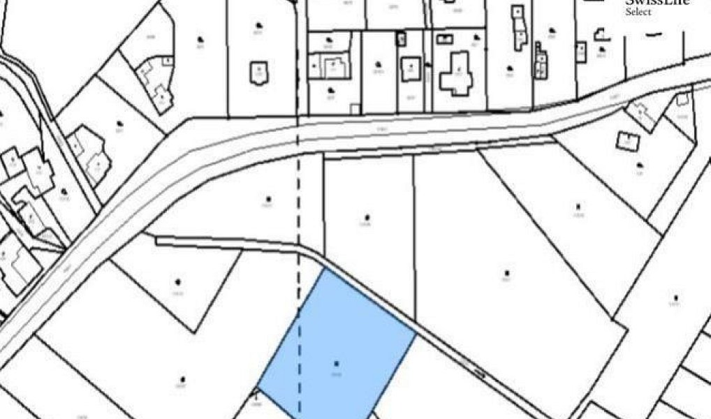 Prodej stavebního pozemku 4 297 m², Všemyslice – náhled fotky 3