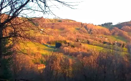 Prodej louky 4 953 m², Vyškovec, okres Uherské Hradiště
