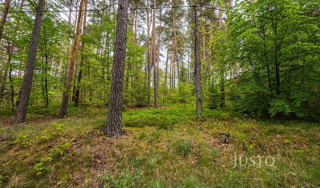 Prodej stavebního pozemku 1 647 m², Hamr na Jezeře – náhled fotky 5