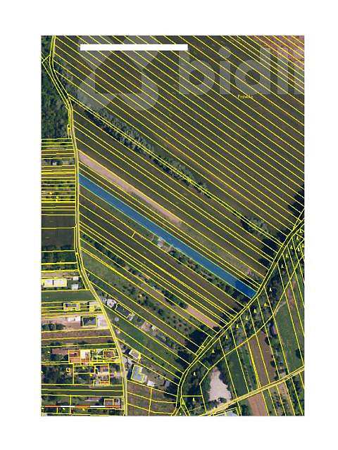 Prodej pole 3 241 m² – fotografie 4