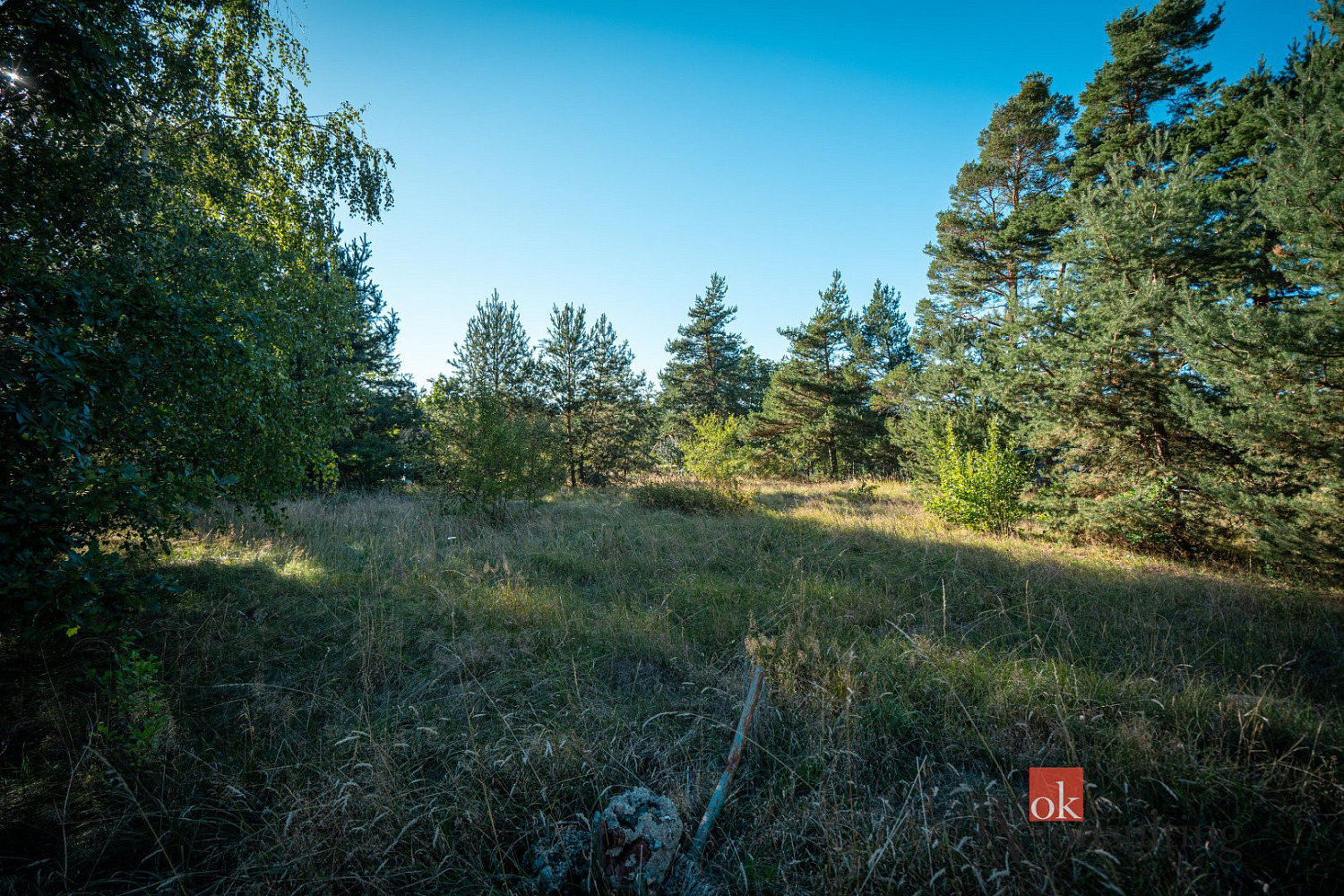 Prodej stavebního pozemku 2 135 m² – fotografie 4
