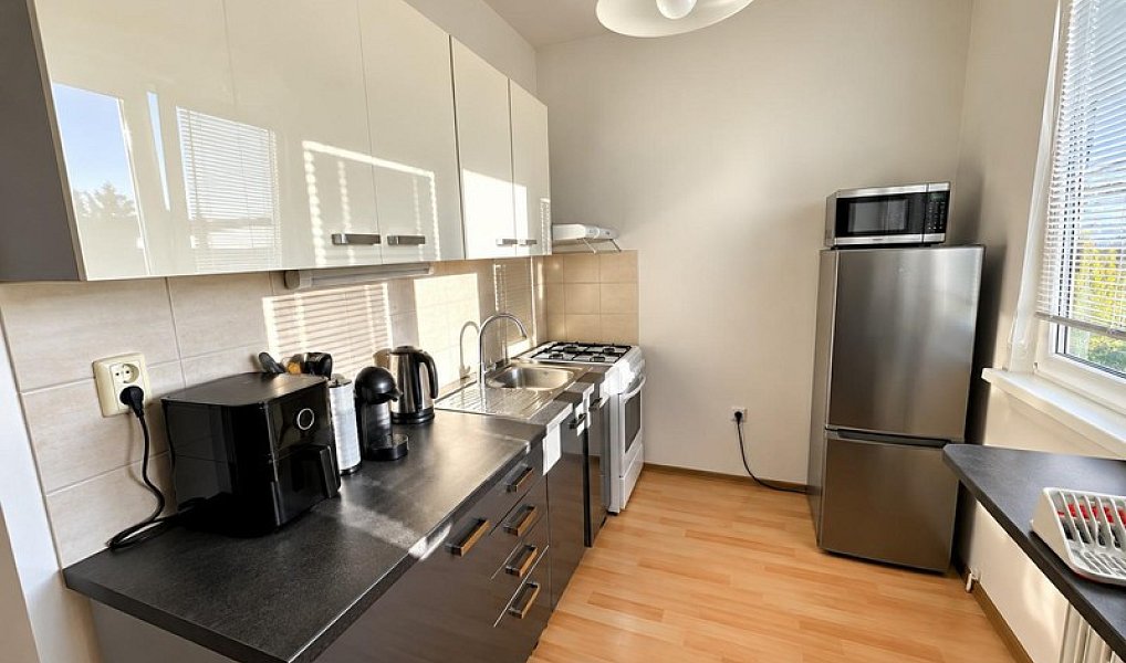 Pronájem bytu 2+1, 52 m², Břevnov - Praha 6, Praha