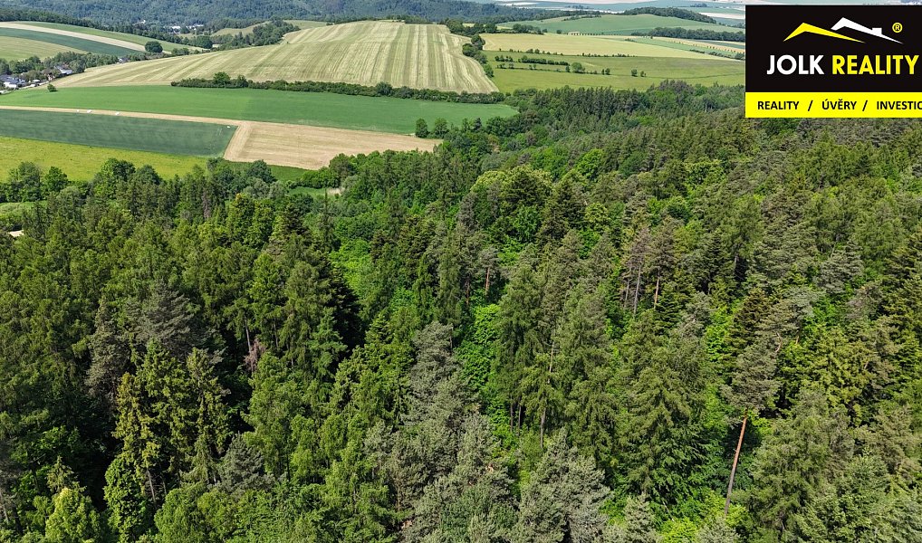 Prodej lesa 13 182 m², Vršovice – náhled fotky 12