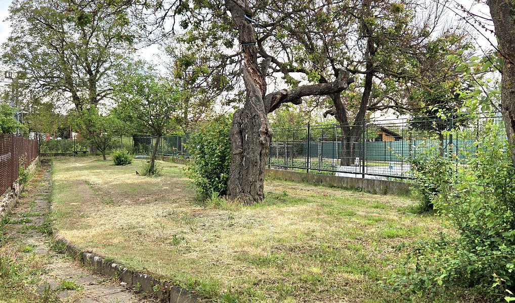 Prodej domu 182 m² s pozemkem 543 m², Rajhrad – náhled fotky 24