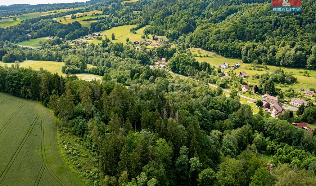 Prodej lesa 36 610 m², Peřimov – náhled fotky 9