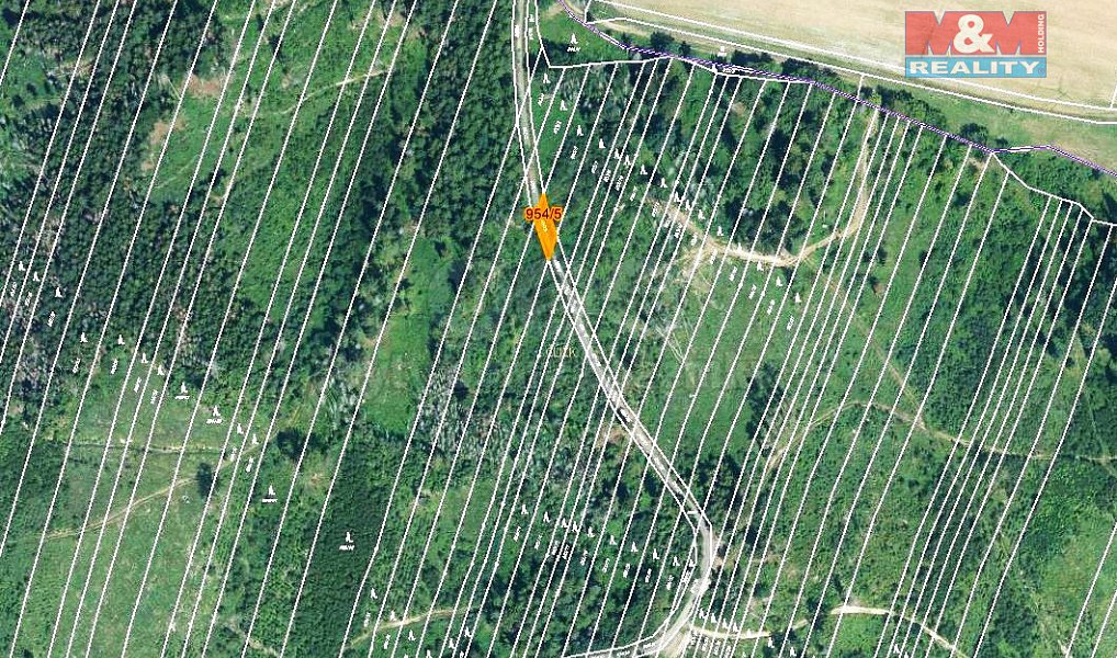 Prodej lesa 6 647 m², Nová Hradečná – náhled fotky 3