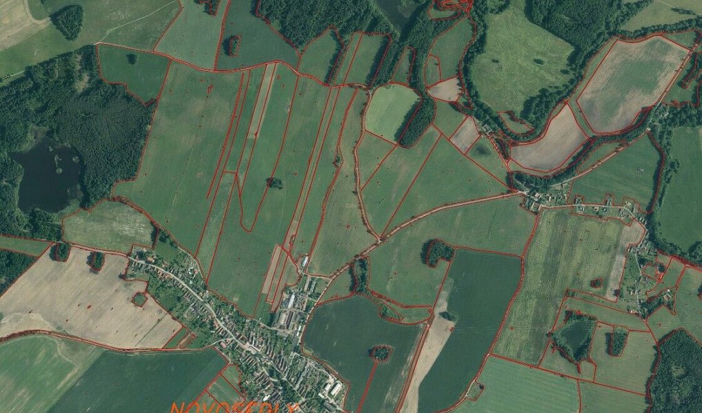 Prodej pozemku 6 591 m², Novosedly nad Nežárkou – náhled fotky 5