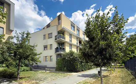 Prodej bytu 2+kk 66 m², Olgy Havlové, Praha 3 - Žižkov