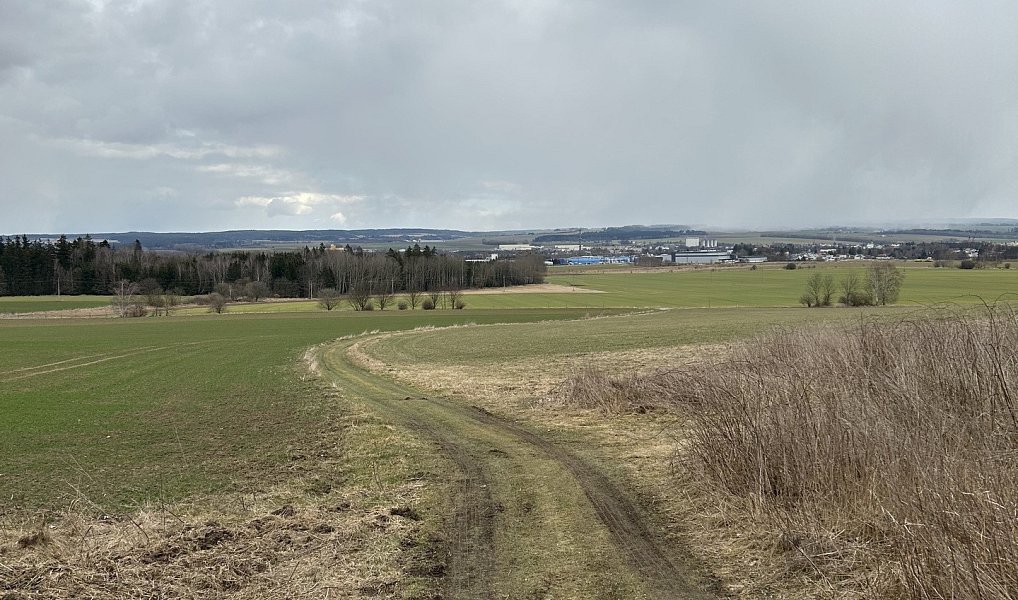 Prodej zahrady 1 799 m², Javorník – náhled fotky 8