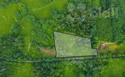 Prodej lesa 7 528 m², Chuchelna, okres Semily