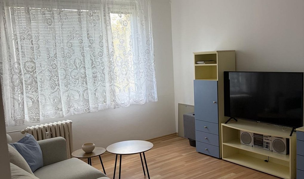 Pronájem bytu 1+1 36 m², Trutnov – náhled fotky 8